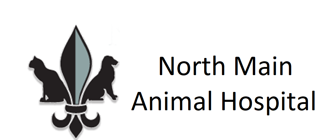 North Main Animal Hospital